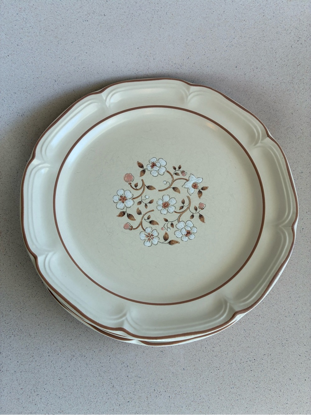 Covington Cream Dinner Plates with Brown Floral Motif